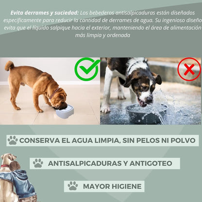 Bebedero de mascotas (perros y gatos)